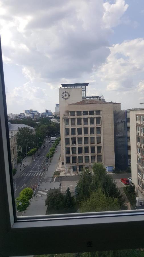 Calea Victoriei Studio Bucarest Extérieur photo